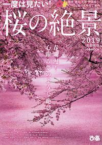 桜の絶景.jpg
