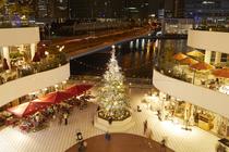 Christmas&Illumination 横浜ベイクォーター